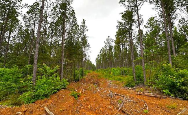 200+AC Western Mill Road, Brunswick County, VA 23868