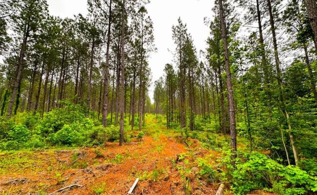 200+AC Western Mill Road, Brunswick County, VA 23868