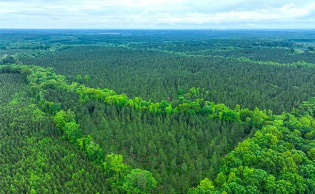 200+AC Western Mill Road, Brunswick County, VA 23868