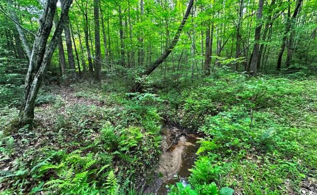 200+AC Western Mill Road, Brunswick County, VA 23868