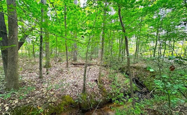 200+AC Western Mill Road, Brunswick County, VA 23868