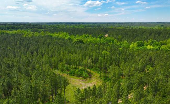 200+AC Western Mill Road, Brunswick County, VA 23868