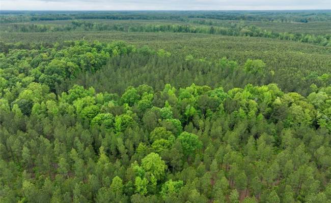 200+AC Western Mill Road, Brunswick County, VA 23868