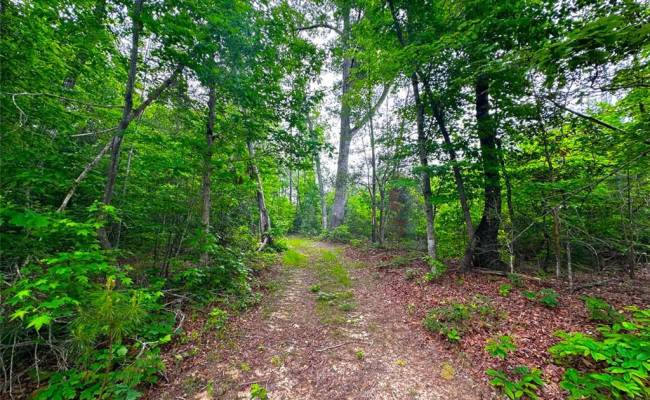 200+AC Western Mill Road, Brunswick County, VA 23868