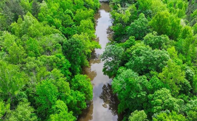 200+AC Western Mill Road, Brunswick County, VA 23868