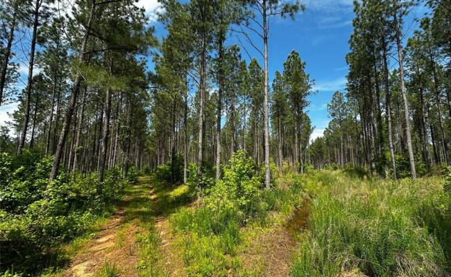 200+AC Western Mill Road, Brunswick County, VA 23868