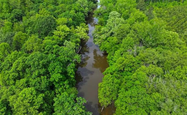 200+AC Western Mill Road, Brunswick County, VA 23868
