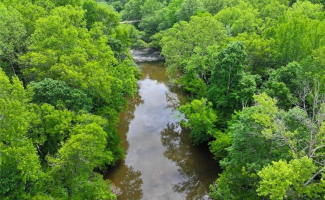 200+AC Western Mill Road, Brunswick County, VA 23868