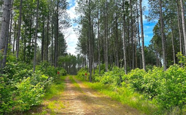 200+AC Western Mill Road, Brunswick County, VA 23868
