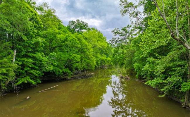 200+AC Western Mill Road, Brunswick County, VA 23868