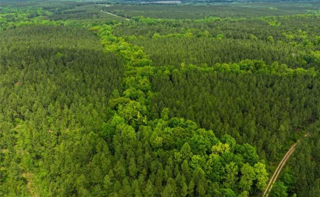 200+AC Western Mill Road, Brunswick County, VA 23868