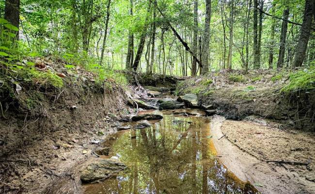 200+AC Western Mill Road, Brunswick County, VA 23868