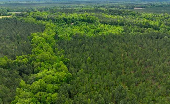 200+AC Western Mill Road, Brunswick County, VA 23868