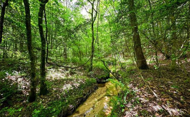 200+AC Western Mill Road, Brunswick County, VA 23868