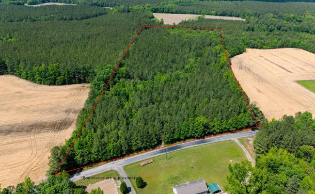 17.2AC Comans Well Road, Sussex County, VA 23882