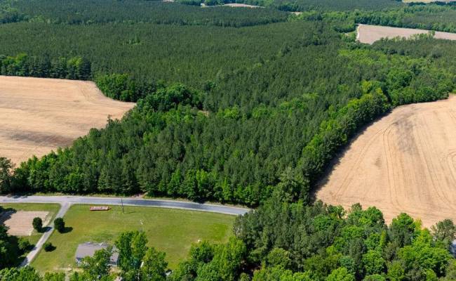 17.2AC Comans Well Road, Sussex County, VA 23882