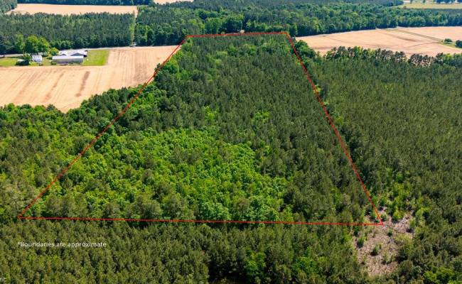 17.2AC Comans Well Road, Sussex County, VA 23882