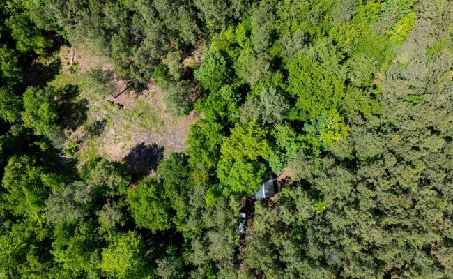 17.2AC Comans Well Road, Sussex County, VA 23882