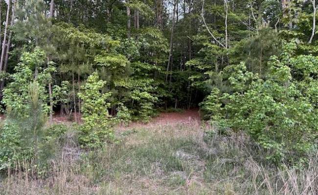 Lot 12 Fox Chase Drive, Surry County, VA 23839