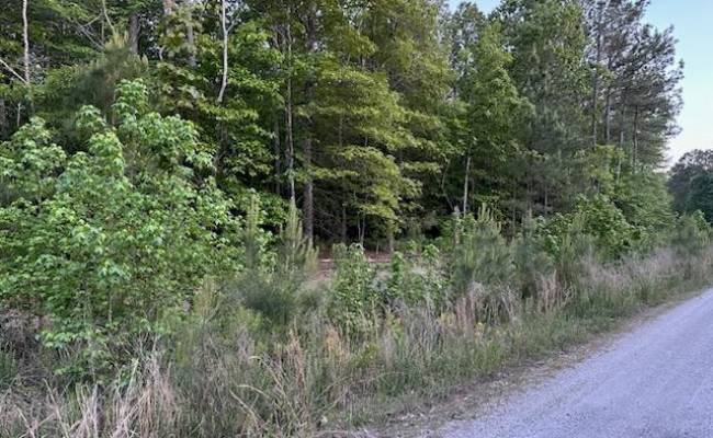 Lot 12 Fox Chase Drive, Surry County, VA 23839