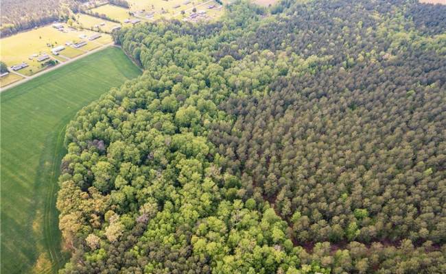 10+AC HAZELTON Road, Gates County, NC 27937