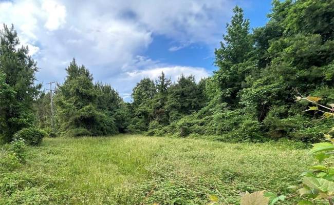55+AC Benefit Road, Chesapeake, VA 23322