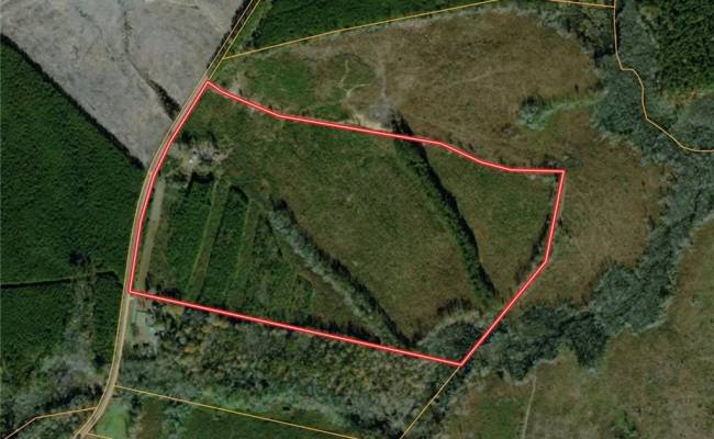 7175 Beef Steak Road, Sussex County, VA 23890