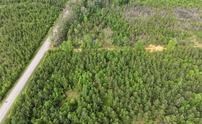 7175 Beef Steak Road, Sussex County, VA 23890