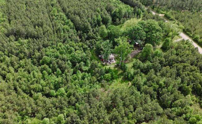 7175 Beef Steak Road, Sussex County, VA 23890