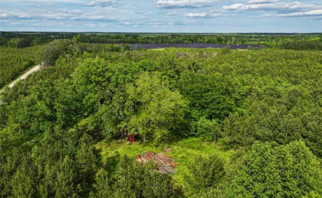 7175 Beef Steak Road, Sussex County, VA 23890