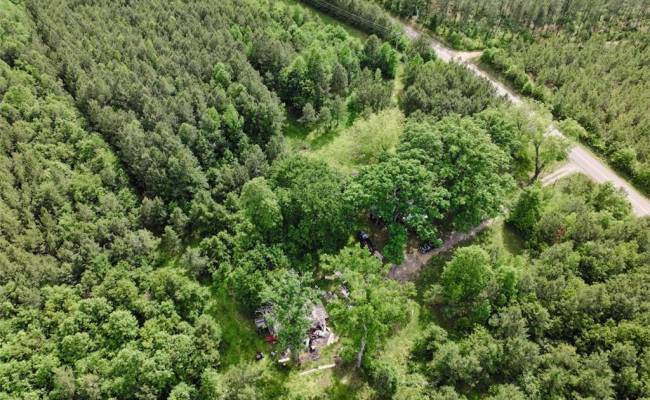 7175 Beef Steak Road, Sussex County, VA 23890