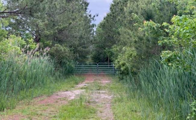50+AC Poyners Road, Moyock, NC 27958