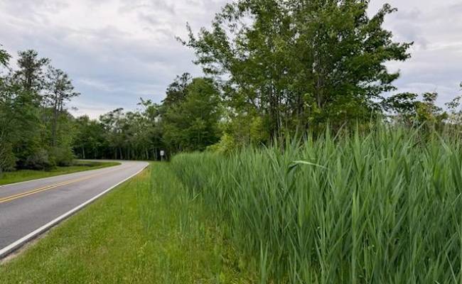 50+AC Poyners Road, Moyock, NC 27958