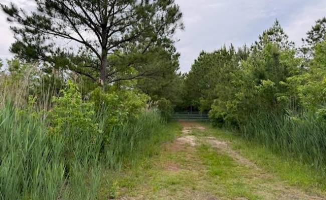 50+AC Poyners Road, Moyock, NC 27958