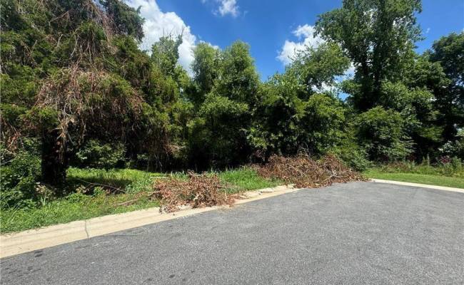 .29AC 12th Street, Suffolk, VA 23434