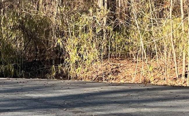 1+AC Kentucky Trail, Chesapeake, VA 23323