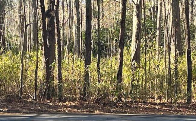 1+AC Kentucky Trail, Chesapeake, VA 23323