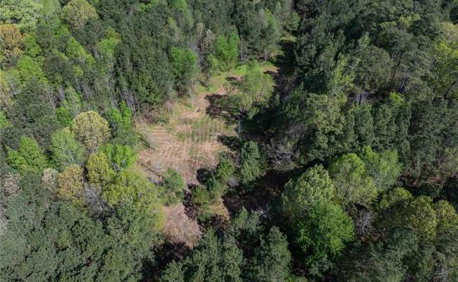 24+AC Brewers Neck Road, Isle of Wight County, VA 23314