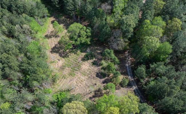 24+AC Brewers Neck Road, Isle of Wight County, VA 23314