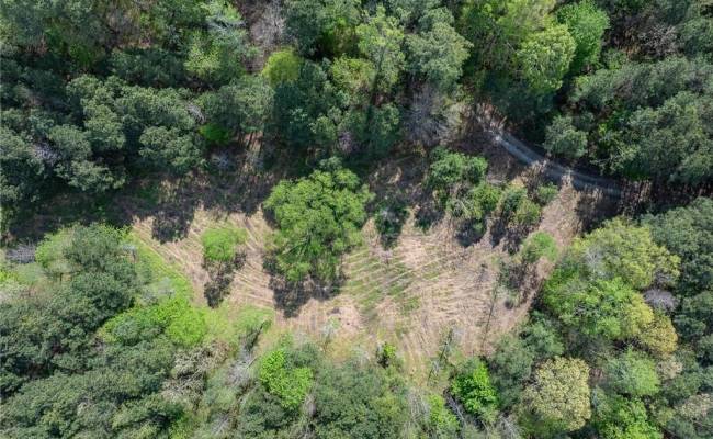24+AC Brewers Neck Road, Isle of Wight County, VA 23314