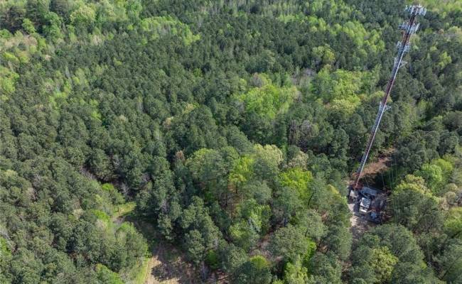 24+AC Brewers Neck Road, Isle of Wight County, VA 23314