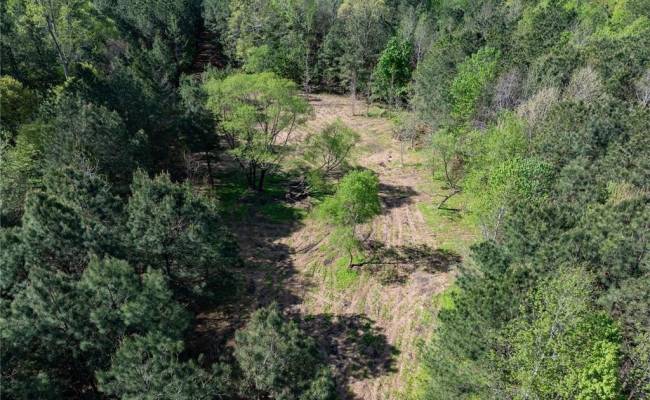 24+AC Brewers Neck Road, Isle of Wight County, VA 23314