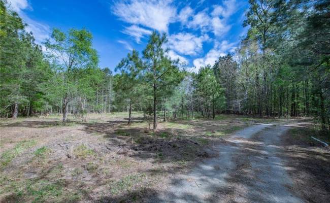 24+AC Brewers Neck Road, Isle of Wight County, VA 23314