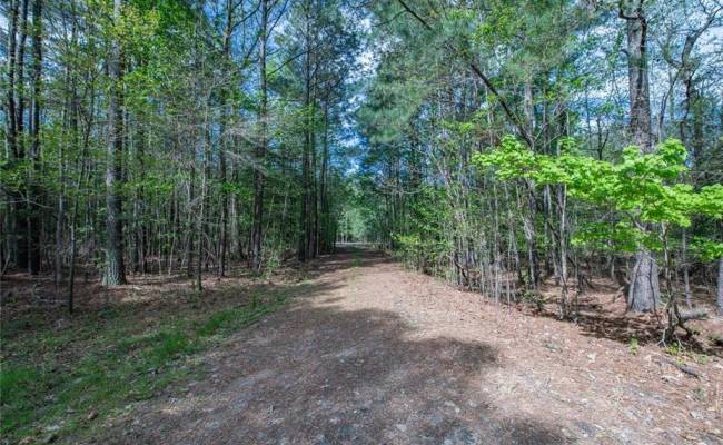 24+AC Brewers Neck Road, Isle of Wight County, VA 23314