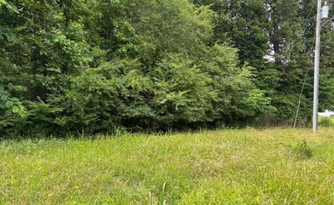 Lot 2 Branch Bridge Street, Southampton County, VA 23828