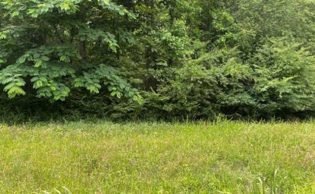 Lot 2 Branch Bridge Street, Southampton County, VA 23828