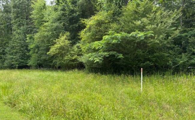 Lot 2 Branch Bridge Street, Southampton County, VA 23828
