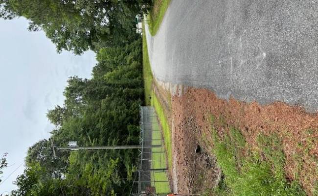 Lot 2 Branch Bridge Street, Southampton County, VA 23828