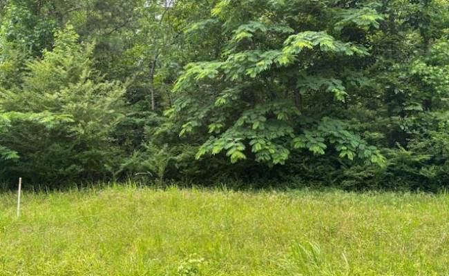 Lot 1 Branch Bridge Street, Southampton County, VA 23828