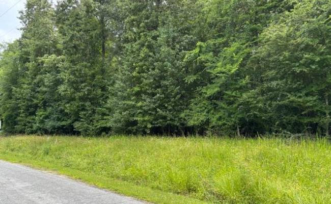 Lot 3 Branch Bridge Street, Southampton County, VA 23828
